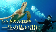 沖縄現地体験ツアー