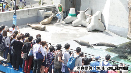 動物たちの愛らしい姿が楽しめるイベント