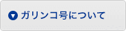 ガリンコ号について