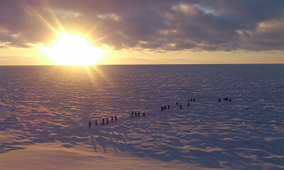 冬のオホーツクツアー