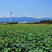 滋賀夏休みツアー特集