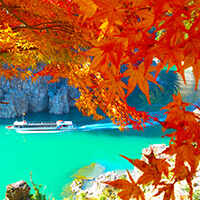 奈良紅葉ツアー特集