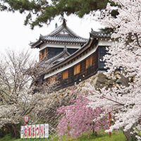 奈良桜ツアー・お花見旅行特集