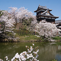 奈良春休みツアー・卒業旅行特集