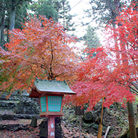 福岡紅葉ツアー特集