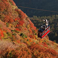長崎紅葉ツアー特集