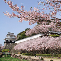 長崎桜ツアー・お花見旅行特集