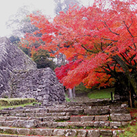 熊本紅葉ツアー特集