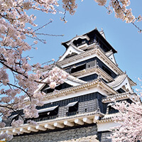 熊本桜ツアー・お花見旅行特集