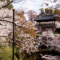 熊本春休みツアー・卒業旅行特集
