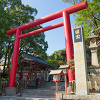 熊本SW（シルバーウィーク）ツアー特集