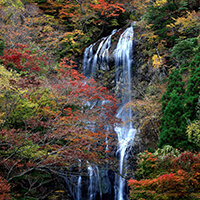 宮崎紅葉ツアー特集