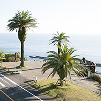 宮崎夏休みツアー特集