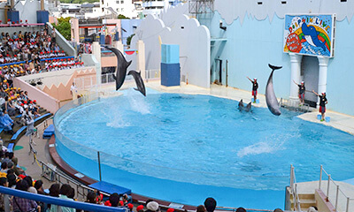 神戸市立 須磨海浜水族園