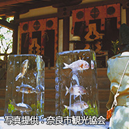 献氷祭｜氷室神社