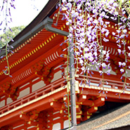 春日大社神苑