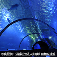 串本海中公園