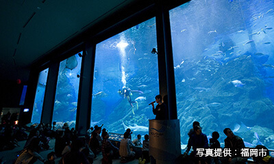 マリンワールド海の中道 夜の水族館