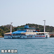 わくわく海中水族館シードーナツ