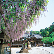 早吸日女神社ふじ祭