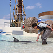 大分マリーンパレス水族館「うみたまご」