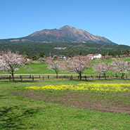 高千穂牧場