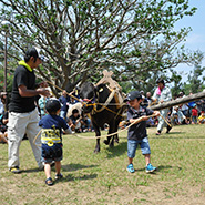黒砂糖祭