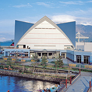 いおワールドかごしま水族館