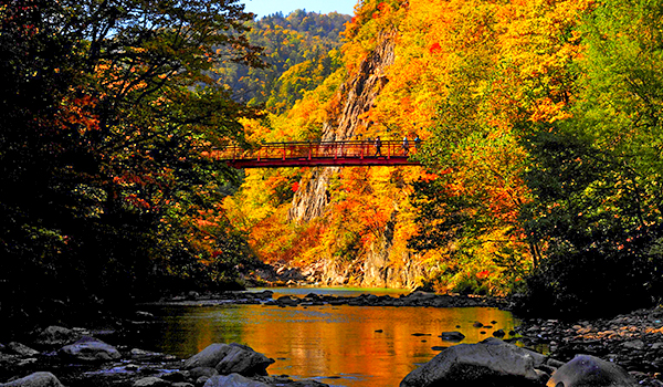 定山渓温泉（二見吊橋）の紅葉