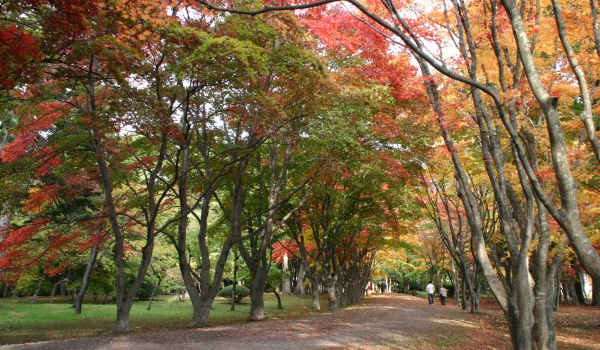 香雪園（見晴公園内）の紅葉