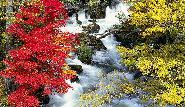 阿寒（滝見橋）の紅葉