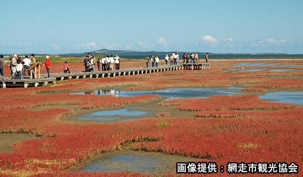能取湖（のとろこ）の紅葉