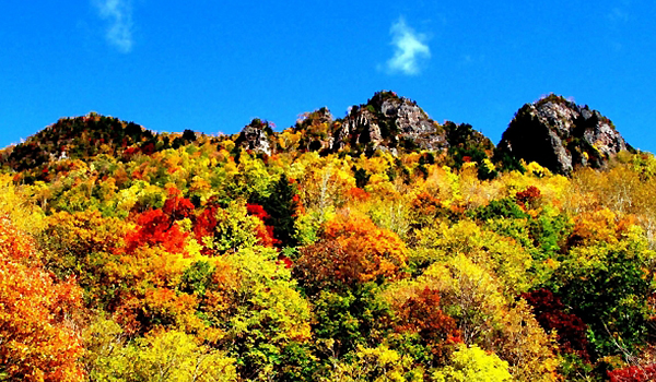 層雲峡紅葉谷の紅葉