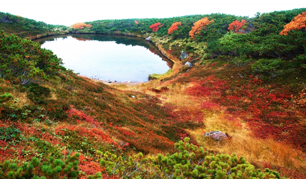 大雪山国立公園（旭岳・赤岳・黒岳）の紅葉