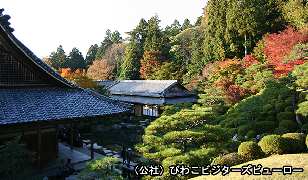 百済寺（湖東三山）の紅葉