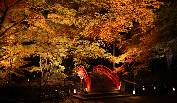 北野天満宮（もみじ苑）の紅葉