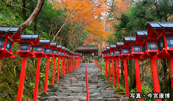 貴船神社（貴船もみじ灯篭）の紅葉