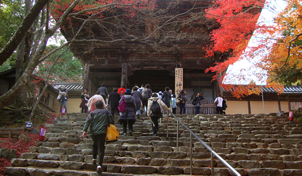 神護寺の紅葉