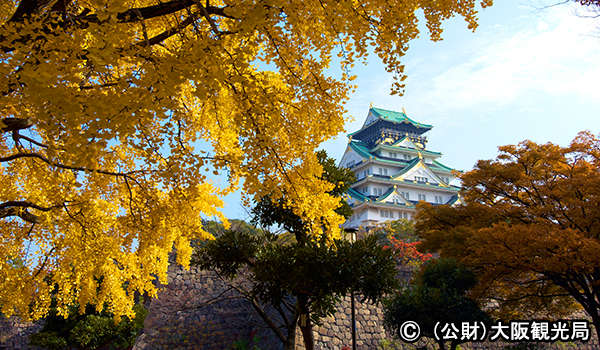 大阪城公園の紅葉