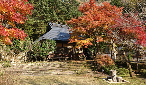 羅漢渓谷の紅葉