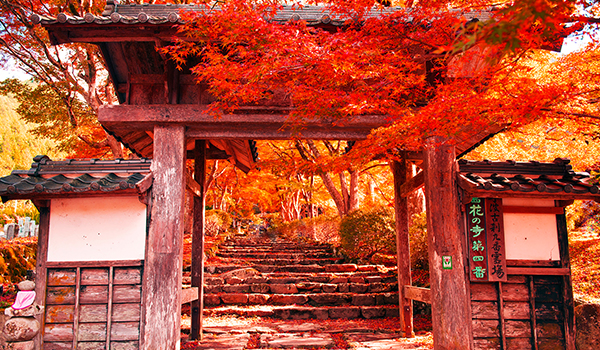 高源寺の紅葉