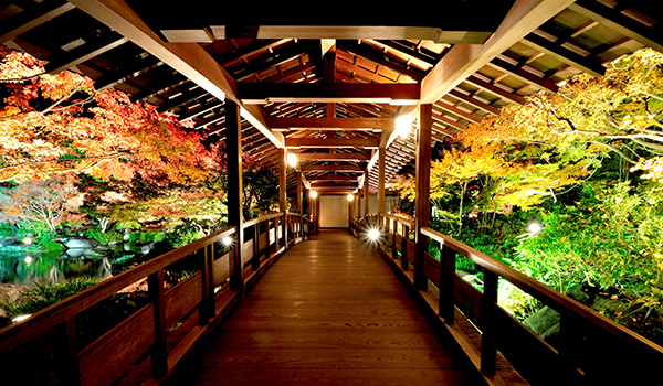 姫路城西御屋敷跡庭園 好古園の紅葉
