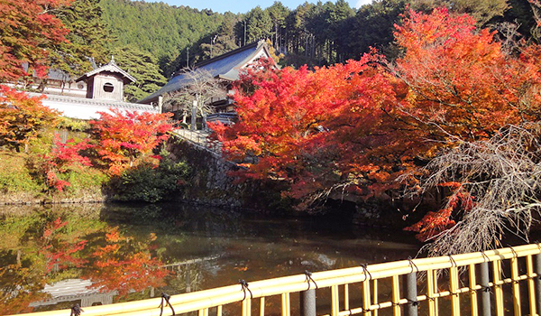円通寺の紅葉