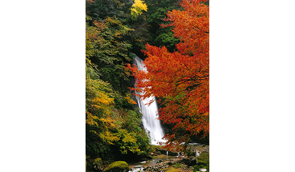 阿瀬渓谷の紅葉