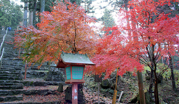 英彦山の紅葉