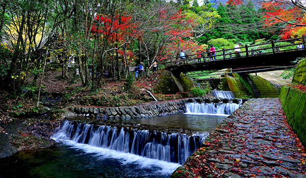 竜門峡の紅葉