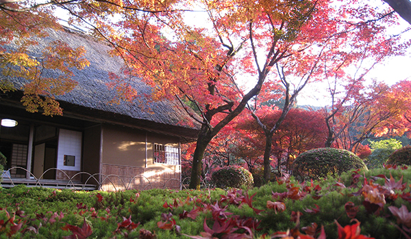 九年庵（くねんあん）の紅葉