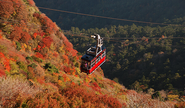 雲仙岳の紅葉