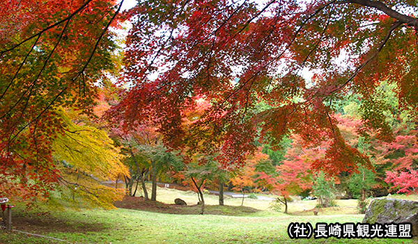 三十路苑の紅葉