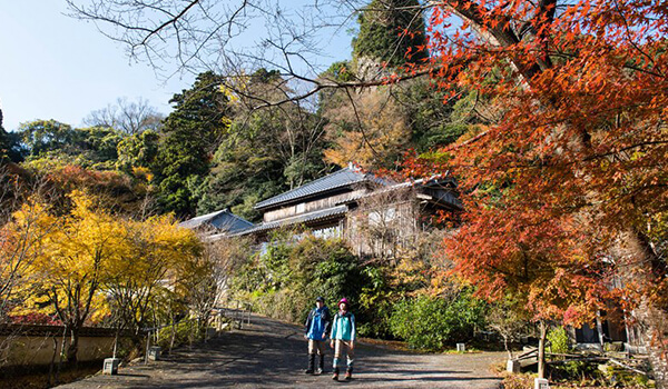 国東(文殊仙寺・岩戸耶馬)の紅葉